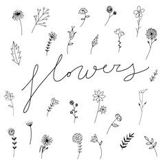Sweet flowers vector hand drawn