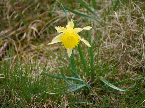 Eifel Perlenbachtal 16