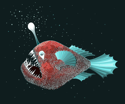 Anglerfish colored illustration. Vector drawing of deep sea fish in red and light blue coloring, gradient and texture.