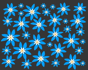 Blue flowers background filling the frame vector image