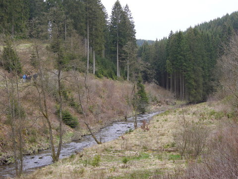 Eifel Perlenbachtal 32