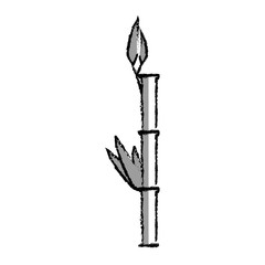 bamboo branch isolated icon vector illustration design