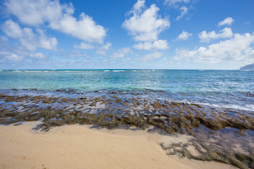 Fototapeta na wymiar Laie Beach Oahu Hawaii