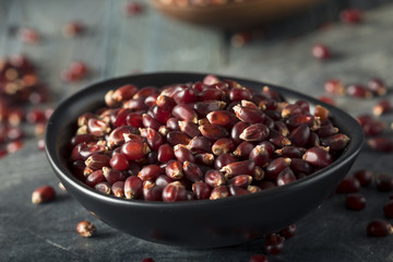 Raw Organic Ruby Red Pop Corn