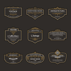 Frame classic template. Vintage contour blank frames and labels. Vintage elements design for cafe, restaurant, boutique, hotel, shop, jewelry. Vector retro elements