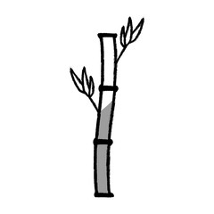bamboo branch isolated icon vector illustration design