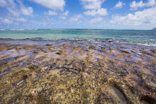 Laie Beach Oahu Hawaii
