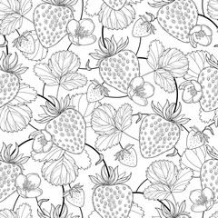 Vector seamless pattern with outline Strawberry with berry, flowers and leaf in black on the white background. Floral background with Strawberry in contour style for summer design and coloring book.