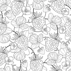 Poster Vector seamless pattern with outline Strawberry with berry, flowers and leaf in black on the white background. Floral background with Strawberry in contour style for summer design and coloring book. © bokasana