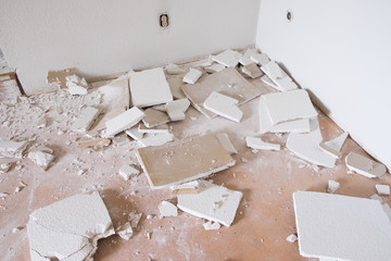 Drywall Demo Day House Renovation