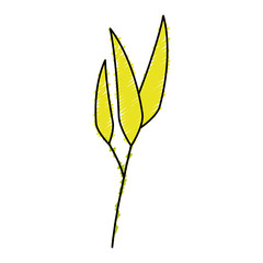bamboo leafs isolated icon vector illustration design