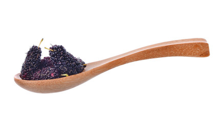 Mulberry
