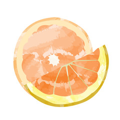 Isolated pair of orange cuts, Vector illustration