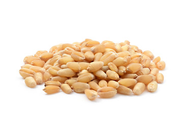 wheat grain on white background