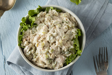 Homemade Healthy Chicken Salad