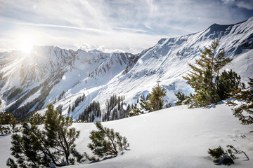 Sunshine in winter Apls