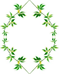 Naklejka premium Frame of green branch of grapes leaves