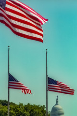 The flags at the Washington Monuments fly at half staff the day after the 9/11 attack.