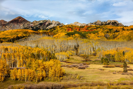 Colorado Scenic Autumn Beauty