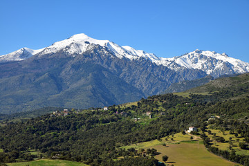 Le monte Cardo et le monte d'Oro dominant le Cortenais en Corse