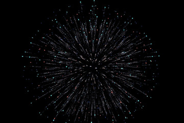 Fireworks in the night sky