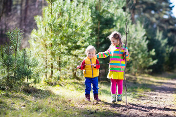 Naklejka na ściany i meble Kids hiking in autumn forest