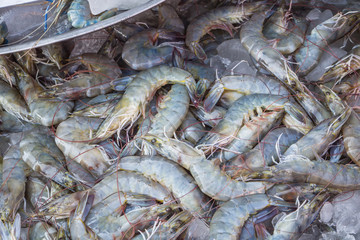 Fresh prawns