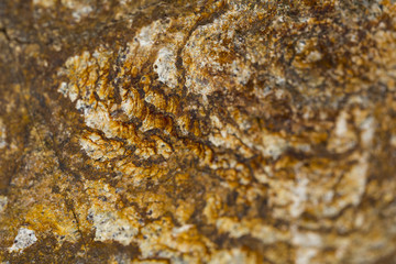 Rusty brown orange rock texture