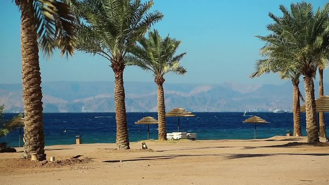 Tropical resort in Tala Bay, Hashemite Kingdom of Jordan. Red sea, gulf of Aqaba. View on Israel and Egypt. Palms on the picturesque beach