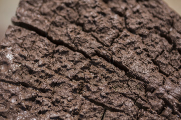 Cracked wooden texture