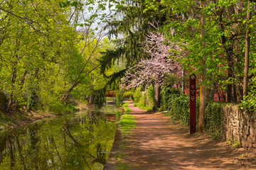 A Tree Lined Tow Path