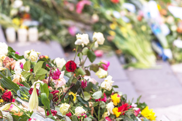 Flowerbed closeup at Sergels torg after the terror attack