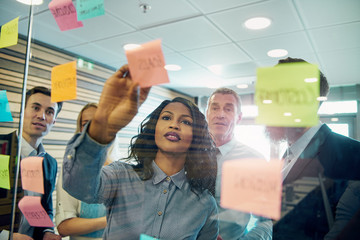 Woman showing business plan to the team