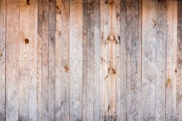 Beautiful wooden wall texture
