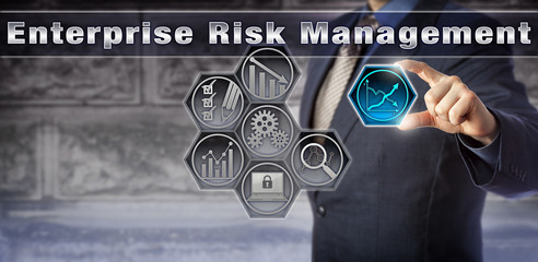 Manager engaged in Enterprise Risk Management