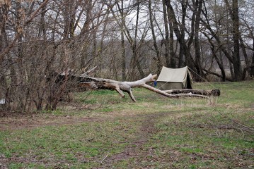 One in a tent in the forest