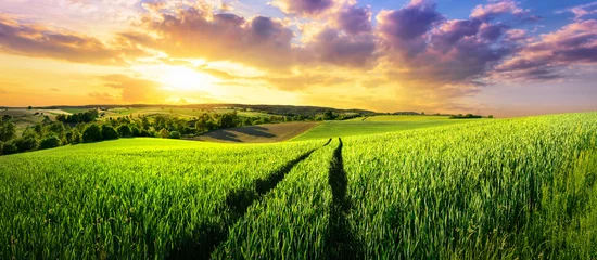 Selbstklebende Fototapete Land Weite grüne Wiese bei herrlichem Sonnenuntergang, eine farbenfrohe Panoramalandschaft