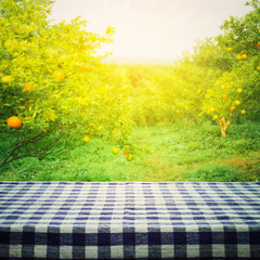 Naklejka na ściany i meble Tablecloth top with blur of orange garden in the morning.For montage product display design key visual layout