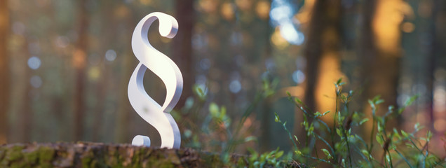 Justice paragraph symbol in forest