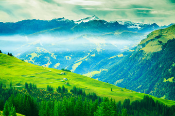 Alpine Landscape