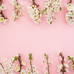 Fototapeta na wymiar Frame of spring white flowers on pink background. Flat lay, top view. Spring time background.