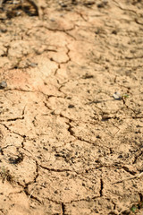 background of dried cracked earth