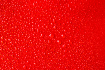 Water droplets on a bright background