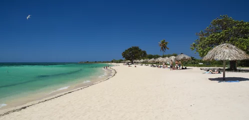 Zelfklevend Fotobehang Caraïben Caribbean tropical  turquoise sand beach in Trinidad
