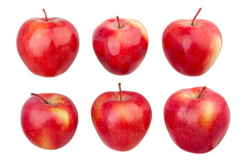 red delicious apples