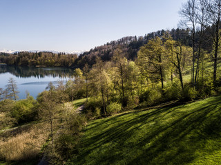 Fototapeta na wymiar Aerial view on trees on shore of lake