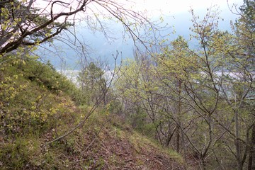 beautiful spring time in dolomiti mountails
