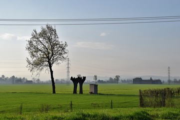 Campi verdi in Pianura Padana in Italia