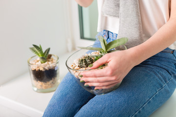 Flower pots with succulents