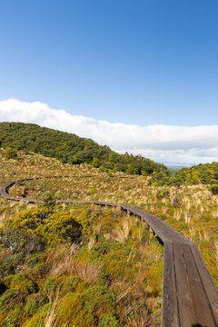 Waitonga Falls Track bei Ohakune in Neuseeland Wanderweg